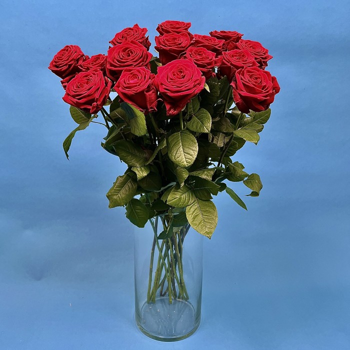 Роза 80 см Красная Ред Наоми