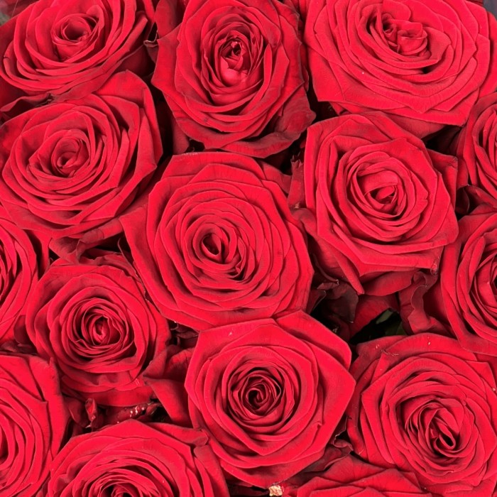 Роза 80 см Красная Ред Наоми