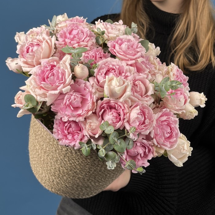 15 кустовых пионовидных роз Кэнди Флоу в кашпо