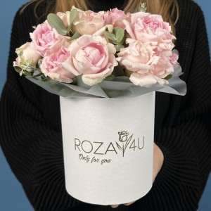 5 кустовых пионовидных роз Кэнди Флоу  в коробке