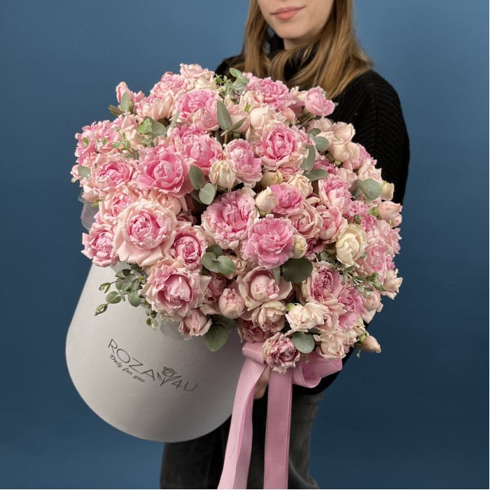 51 кустовая пионовидная роза Кэнди Флоу  в коробке