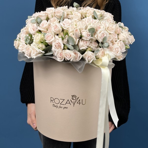 51 кустовая роза Роял Порцелина в коробке
