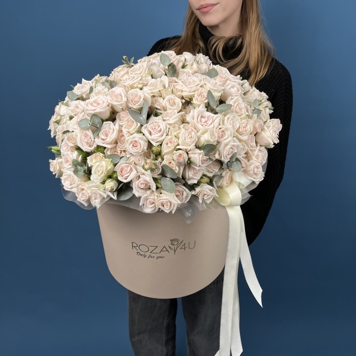 51 кустовая роза Роял Порцелина в коробке