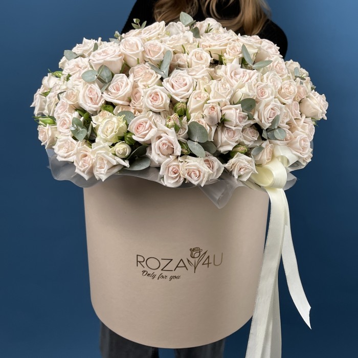 51 кустовая роза Роял Порцелина в коробке
