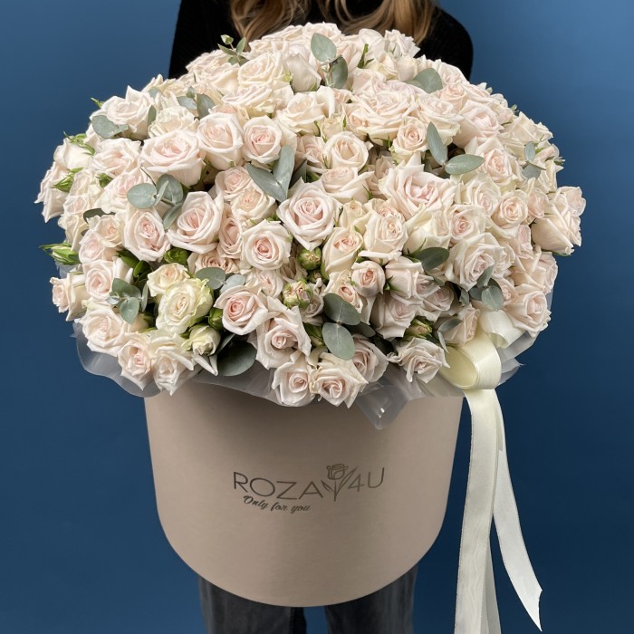 51 кустовая роза Роял Порцелина в коробке