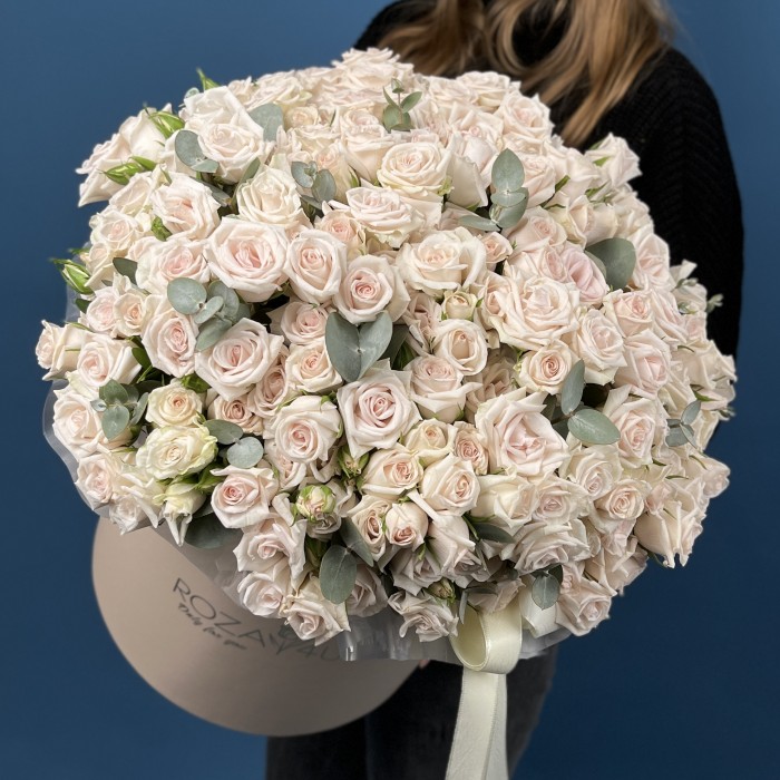 51 кустовая роза Роял Порцелина в коробке