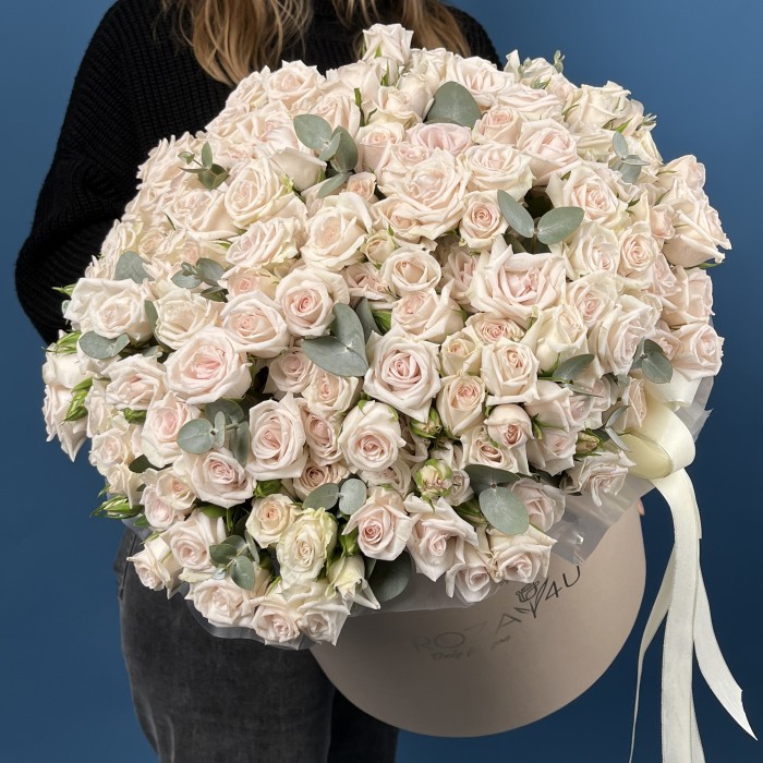 51 кустовая роза Роял Порцелина в коробке