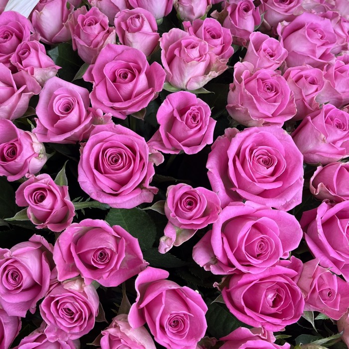 151 розовая роза Аква в корзине