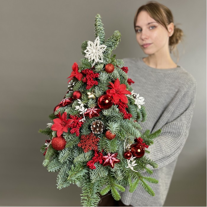 Елка средняя Сияние Праздника