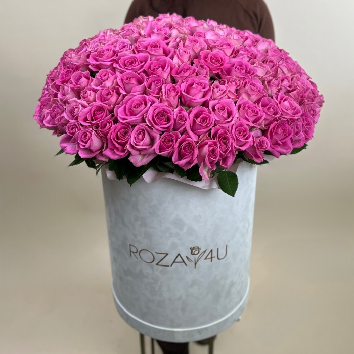 151 розовая роза Аква в бархатной коробке