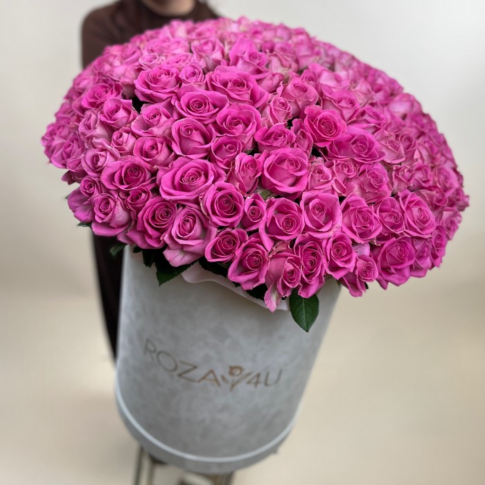 151 розовая роза Аква в бархатной коробке