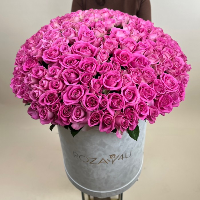 151 розовая роза Аква в бархатной коробке