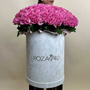 151 розовая роза Аква в бархатной коробке