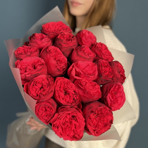 19 красных пионовидных роз Ред Пиано 50 см