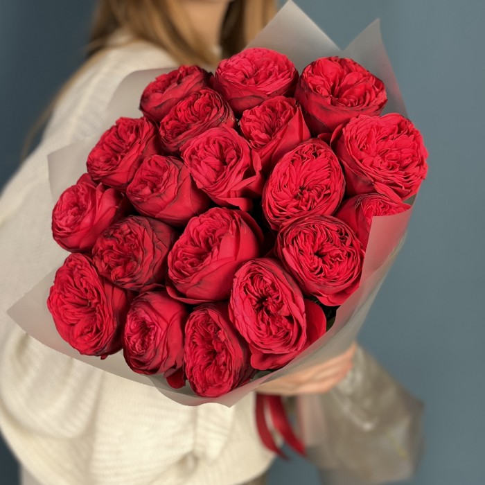 19 красных пионовидных роз Ред Пиано 50 см