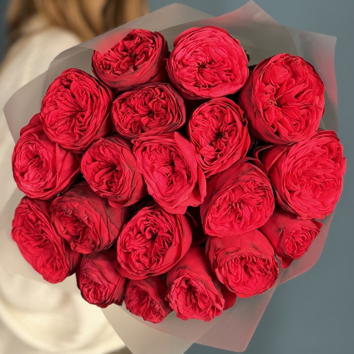 19 красных пионовидных роз Ред Пиано 50 см