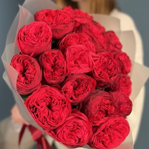 19 красных пионовидных роз Ред Пиано 60 см
