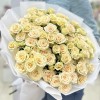 19 кустовых кремовых роз Аксана 70 см