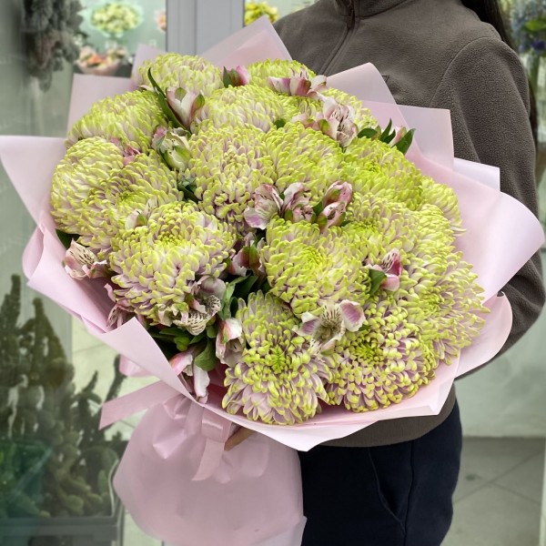 19 Хризантем сиренево-зелёного цвета с альстромерией