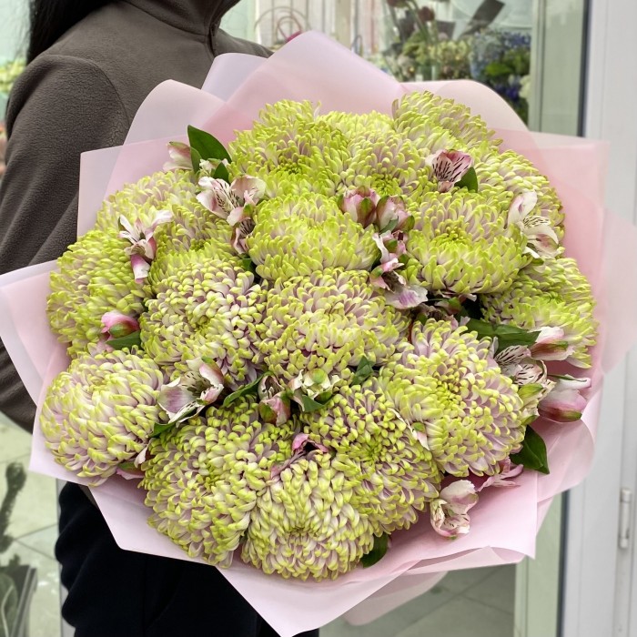 19 Хризантем сиренево-зелёного цвета с альстромерией