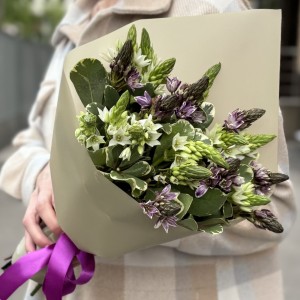 19 белых и фиолетовых орнитогалумов 19 белых и фиолетовых орнитогалумов