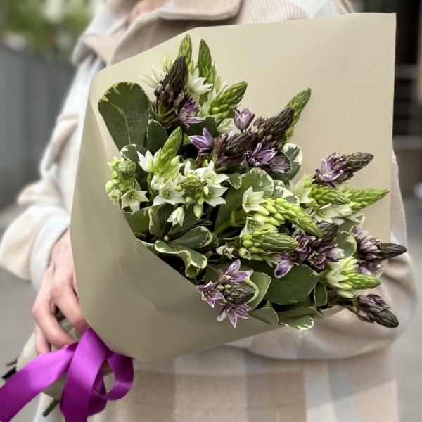 19 белых и фиолетовых орнитогалумов