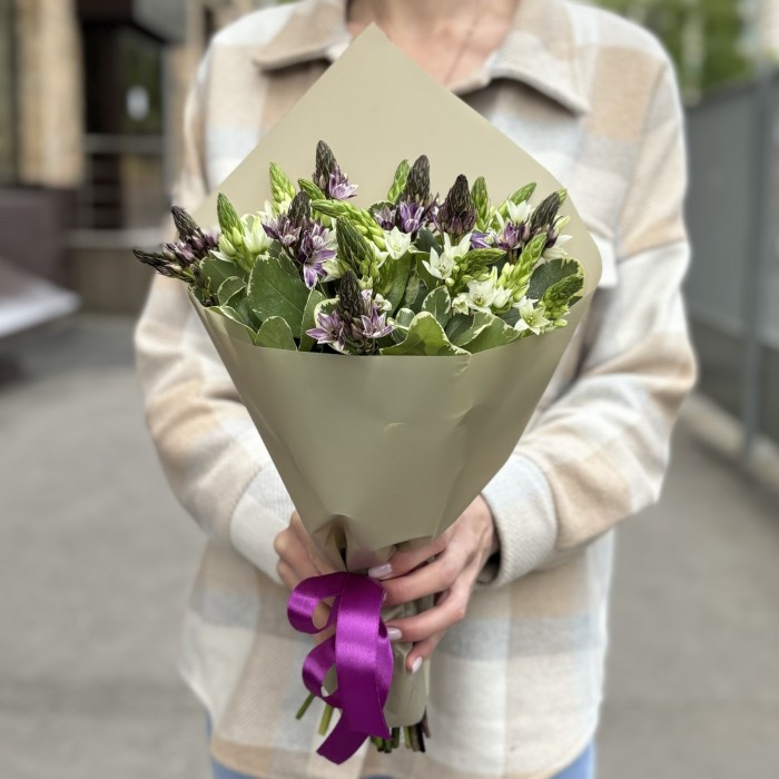 19 белых и фиолетовых орнитогалумов