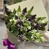 19 белых и фиолетовых орнитогалумов