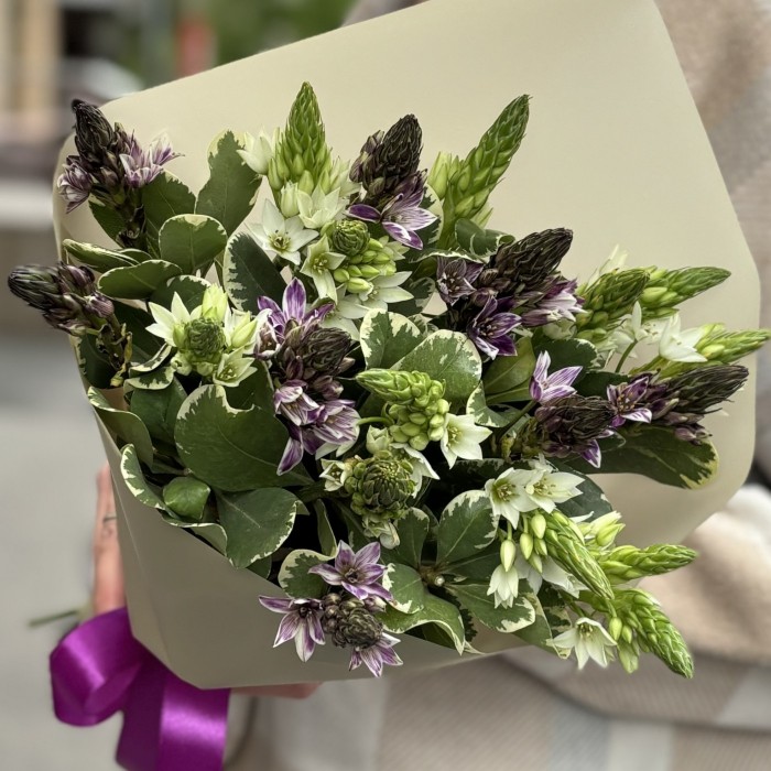 19 белых и фиолетовых орнитогалумов