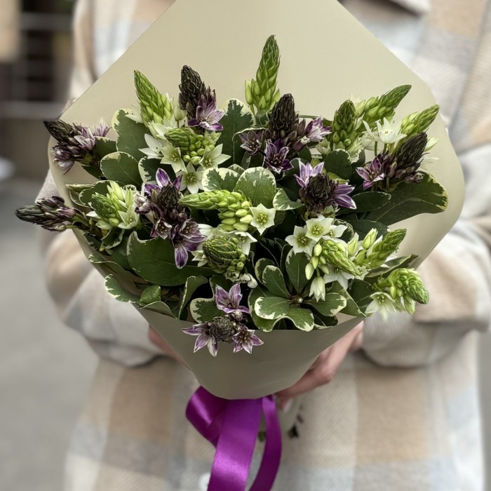 19 белых и фиолетовых орнитогалумов