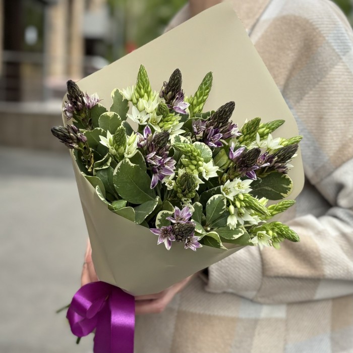 19 белых и фиолетовых орнитогалумов