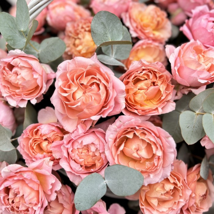 19  пионовидных кустовых роз Джульетта в корзине