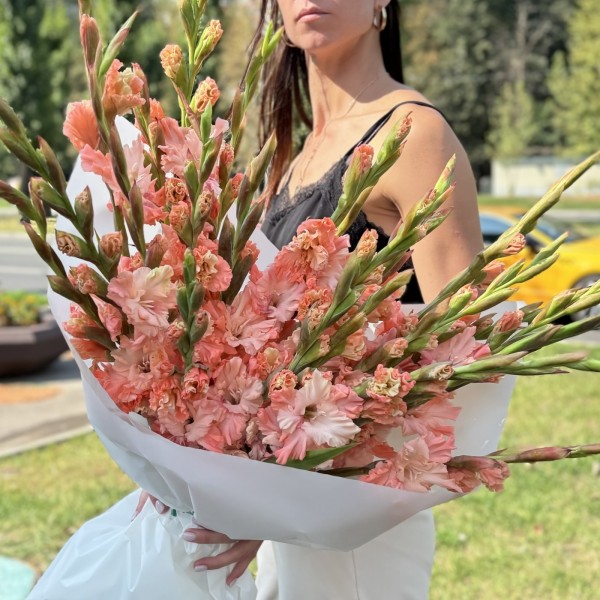 19 розовых гладиолусов