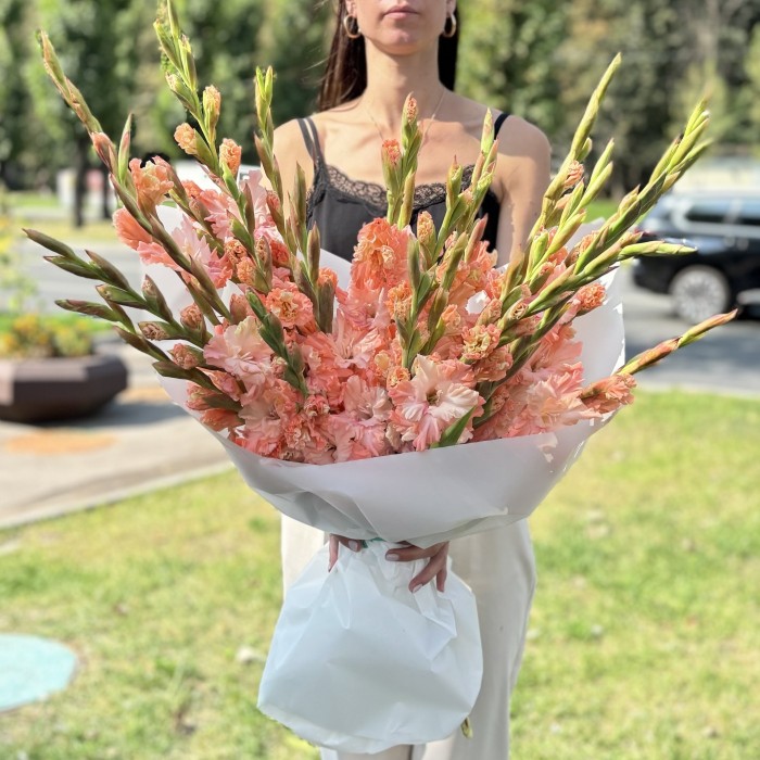19 розовых гладиолусов