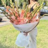 19 розовых гладиолусов