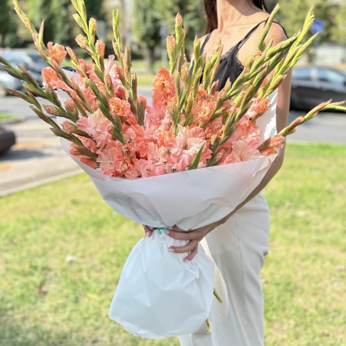 19 розовых гладиолусов