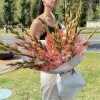 19 розовых гладиолусов
