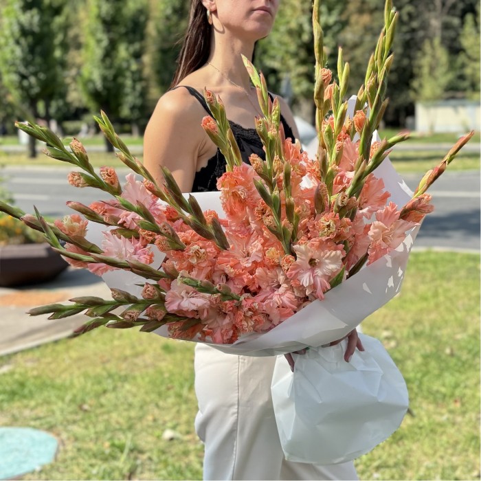 19 розовых гладиолусов