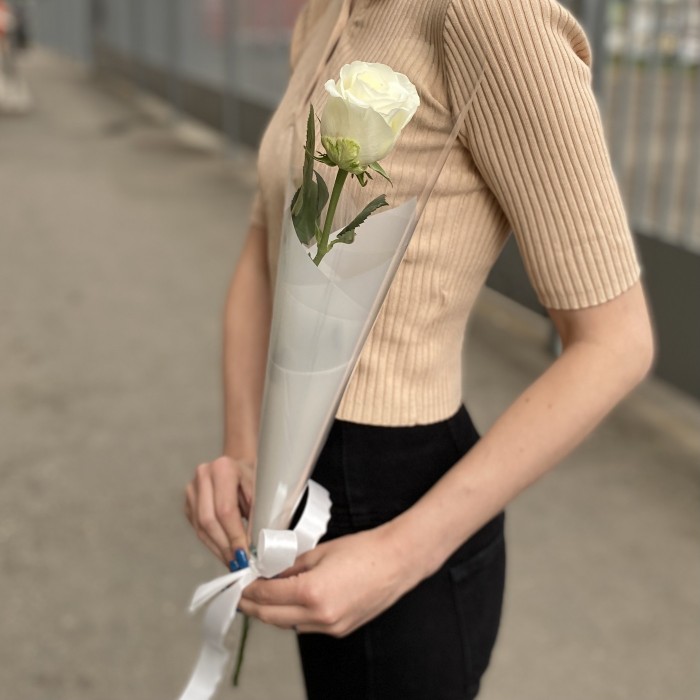 1 белая роза 60 см