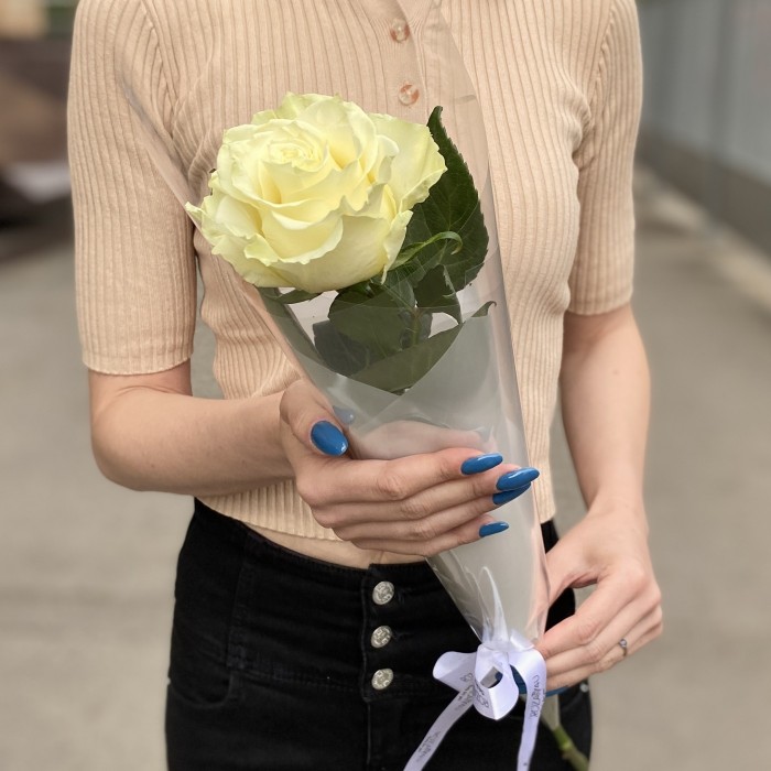 1 белая роза Мондиаль в упаковке