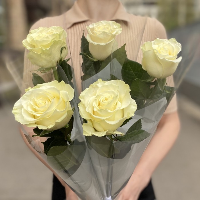 1 белая роза Мондиаль в упаковке