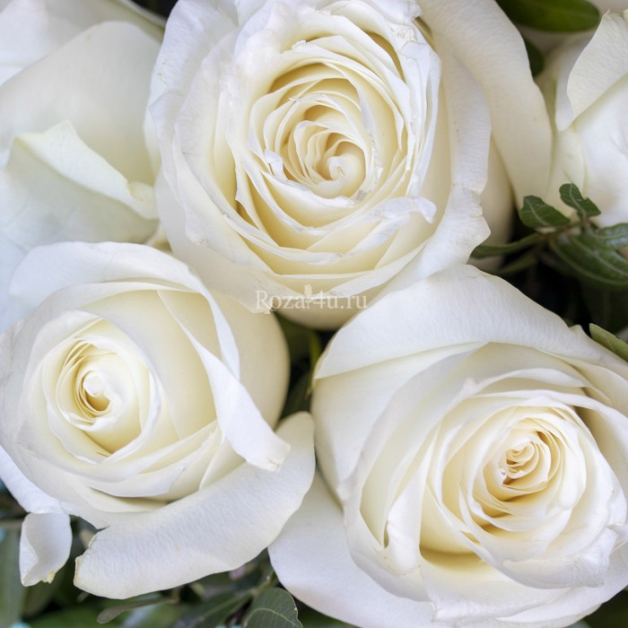 Букет в коробке белый