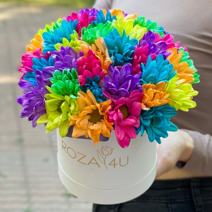 Белая коробка радужных хризантем