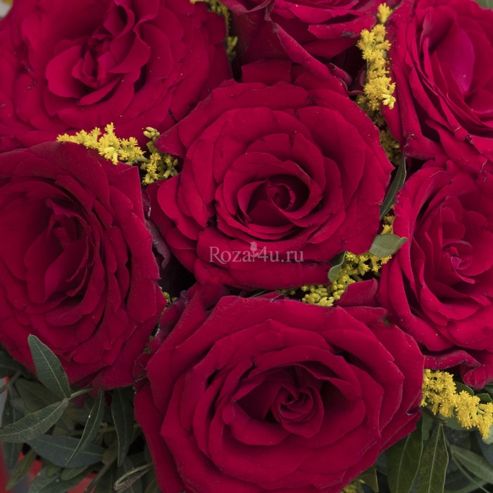 Букет 1 Сентября в коробке красный