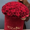 101 красная Роза Ред Наоми в большой бархатной коробке
