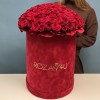 101 красная Роза Ред Наоми в большой бархатной коробке