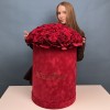 101 красная Роза Ред Наоми в большой бархатной коробке