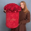 101 красная Роза Ред Наоми в большой бархатной коробке