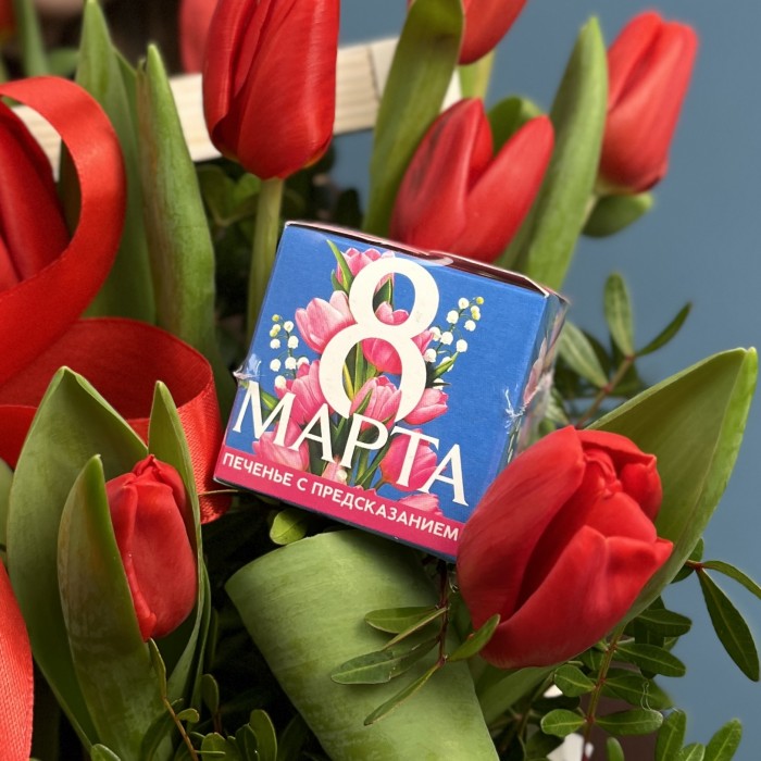 15 красных тюльпанов в кашпо с 8 марта