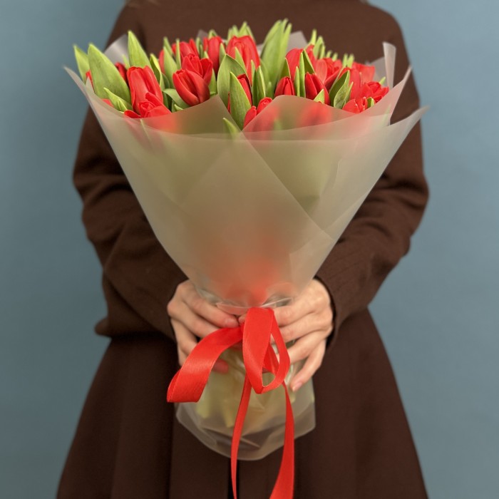 51 красный тюльпан